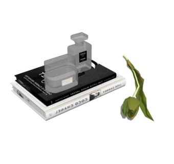 现代书籍化妆品摆件su模型