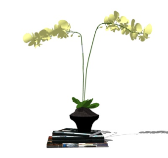 现代书籍花卉摆件su模型