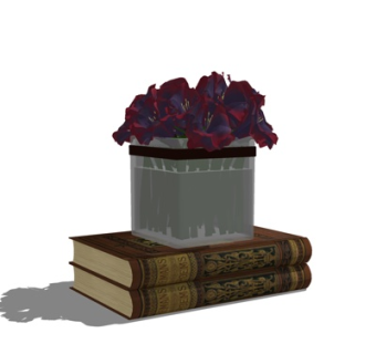 现代书籍su模型