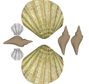 中式海螺海贝摆件su模型