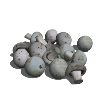 现代食物su模型