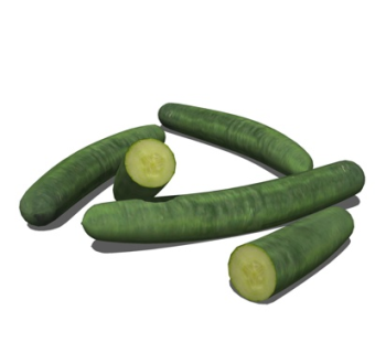 现代食物su模型