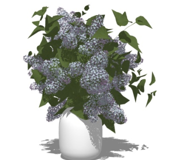 现代花瓶花卉su模型