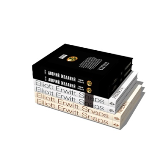 现代书籍组合su模型