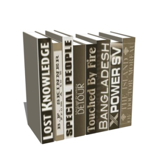 现代书籍组合su模型