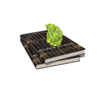 现代书籍组合su模型