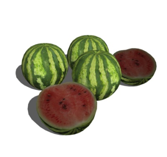 现代西瓜su模型