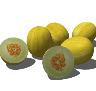 现代哈密瓜su模型