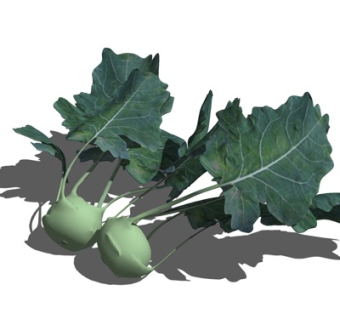现代蔬菜食品su模型