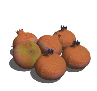 现代蔬菜食品su模型