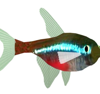 现代红绿灯鱼su模型