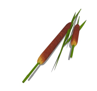 现代香肠食品su模型