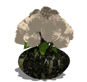现代花瓶花卉su模型