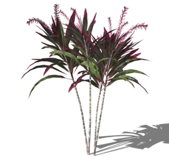 现代绿植花卉su模型