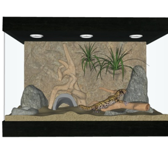 现代蜥蜴su模型