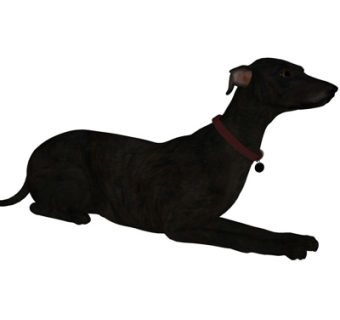 现代普罗特猎犬su模型