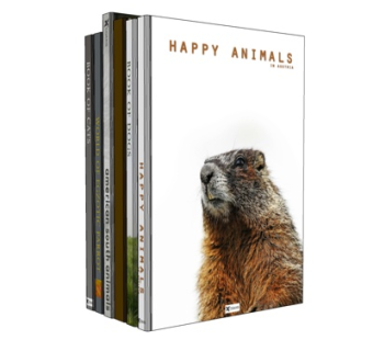 现代书籍su模型