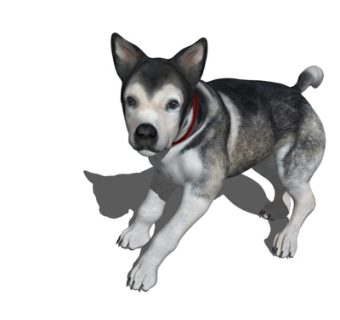 现代哈士奇su模型