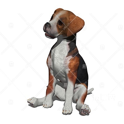 现代北海道犬su模型 易图网 现代北海道犬su模型 易图网