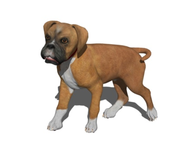 现代拳师犬su模型