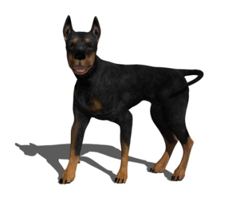 现代杜宾犬su模型