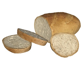 <em>现代面包</em>食物su模型
