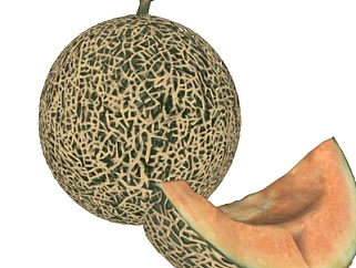 现代哈密瓜水果su模型