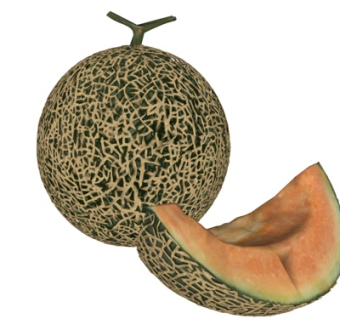 现代哈密瓜水果su模型