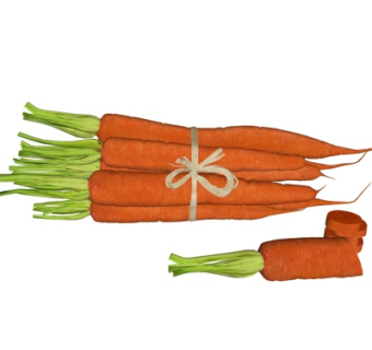 现代胡萝卜蔬菜su模型