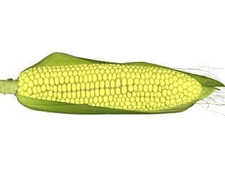 现代玉米蔬菜su模型