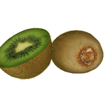 现代猕猴桃水果su模型