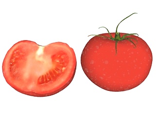现代西红柿蔬菜su模型