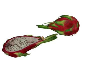 现代火龙果su模型