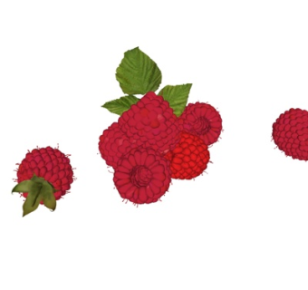 现代荔枝su模型