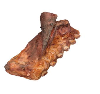 现代腊肉su模型