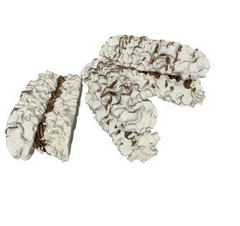 现代木耳su模型