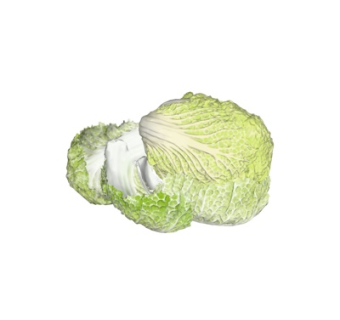 现代大白菜su模型