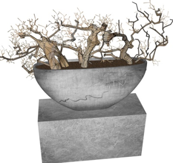 现代干支su模型