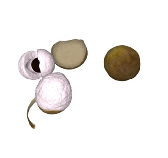 现代龙眼su模型