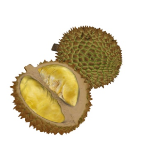 现代水果su模型