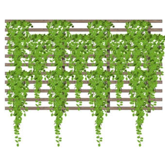 现代植物墙su吗