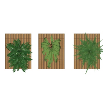 现代植物墙su吗