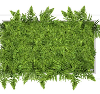 现代植物墙su吗