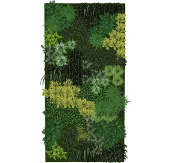 现代植物墙su吗