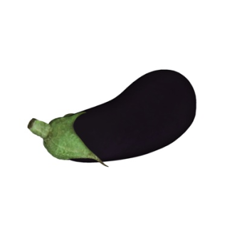 现代茄子su模型