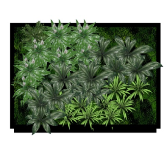 现代植物墙su模型