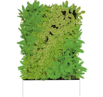 现代植物墙su模型