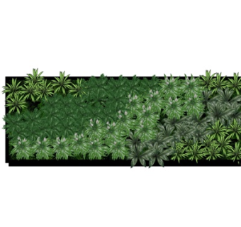 现代植物墙su模型