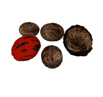 现代食物su模型