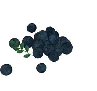 现代蓝莓su模型